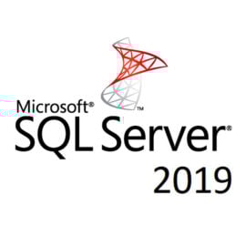 רישיון דיגיטלי לתוכנת SQL Server standard 2019 עבור שרת