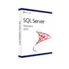 רישיון דיגיטלי לתוכנת SQL Server 2022 עבור שרת