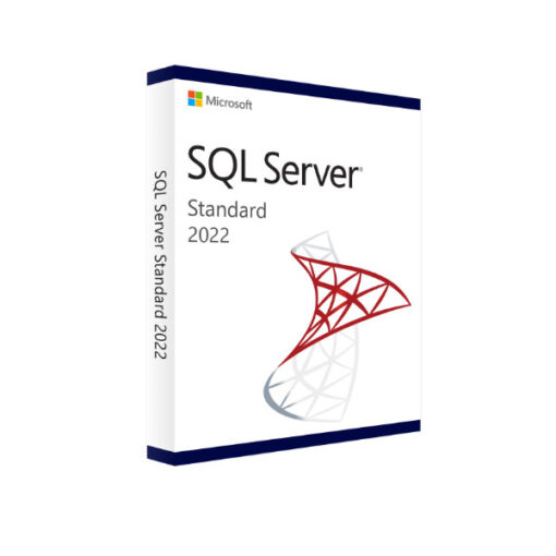 רישיון דיגיטלי לתוכנת SQL Server 2022 עבור שרת