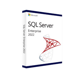 רישיון דיגיטלי לתוכנת SQL Server 2022 עבור שרת