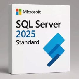 רישיון דיגיטלי לתוכנת SQL Server standard 2025 עבור שרת