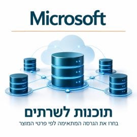 Microsoft – תוכנות לשרתים