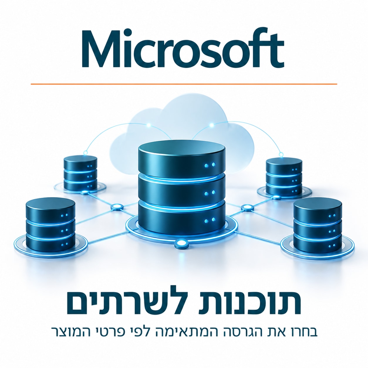 Microsoft – תוכנות לשרתים