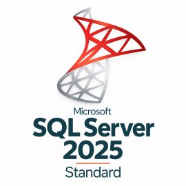 רישיון דיגיטלי לתוכנת SQL Server standard 2025 עבור שרת